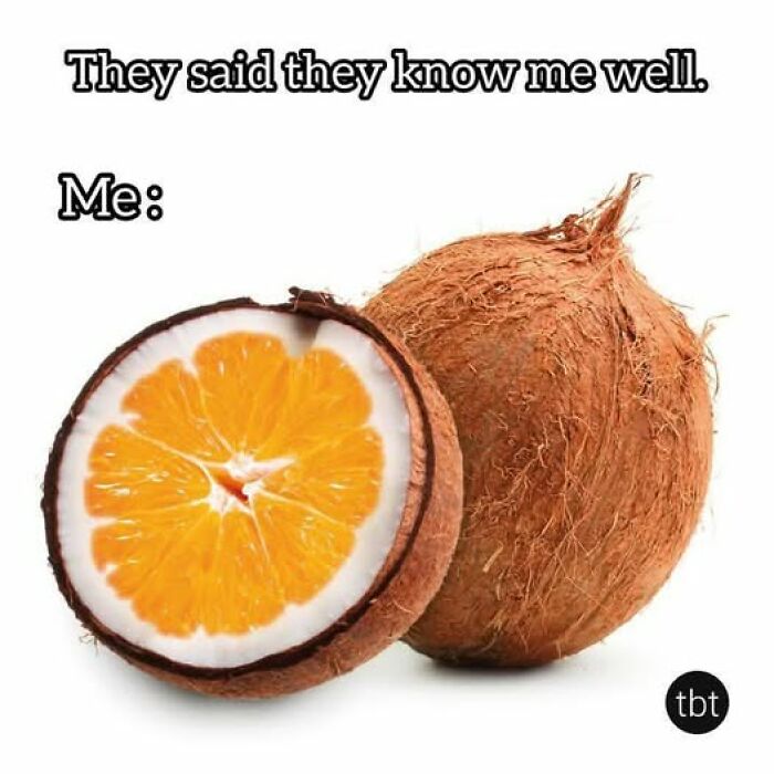 Sarcastic meme showing a coconut with an orange inside, illustrating humor from a hilariously sarcastic meme collection.