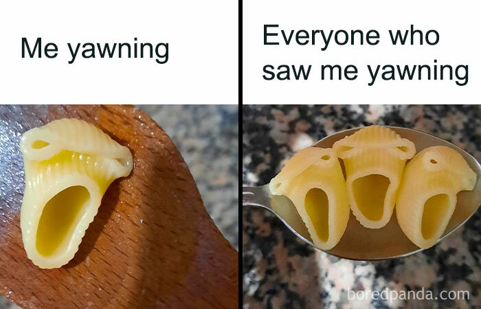 Close-up of funny random memes with pasta shells shaped like yawning faces, capturing humor to make you giggle.