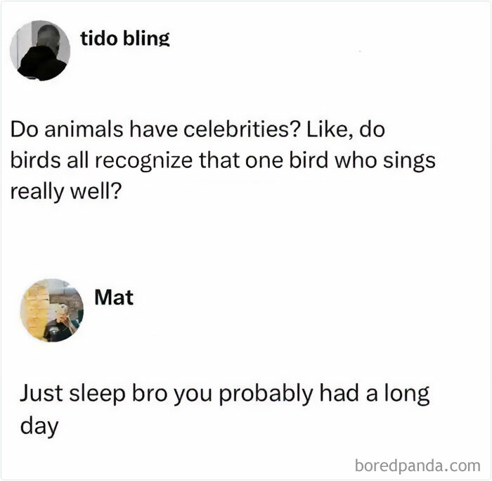 Funny random meme about animals and sleep, featuring lighthearted conversation to make you giggle like a schoolgirl.