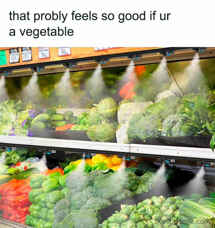 Funny random meme showing fresh vegetables being sprayed with mist in a grocery store produce section.