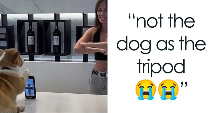 If Sarcasm Was A First Language, These 50 Memes Would Be National Literature (New Pics)