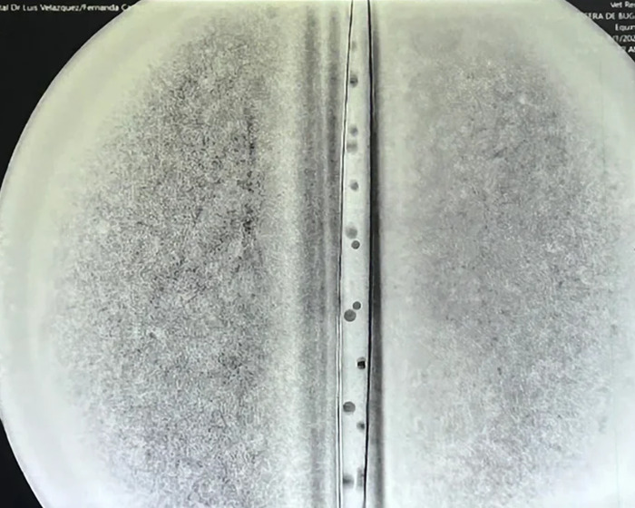 Close-up of a mysterious UFO object with ominous markings linked to origin of birth, analyzed by scientists in a lab setting.
