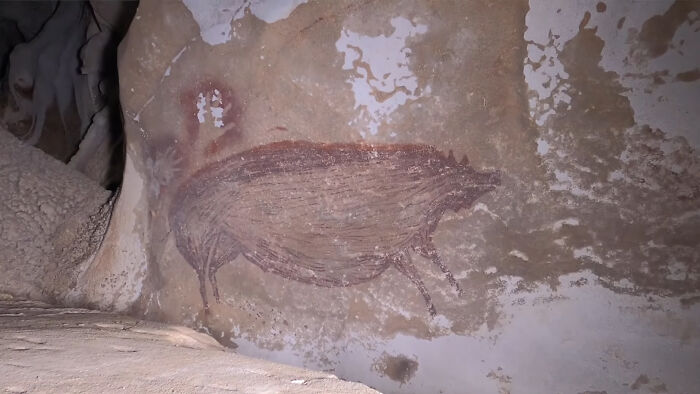 Ancient cave painting of a boar on a rock wall, an archeological discovery challenging historical knowledge.