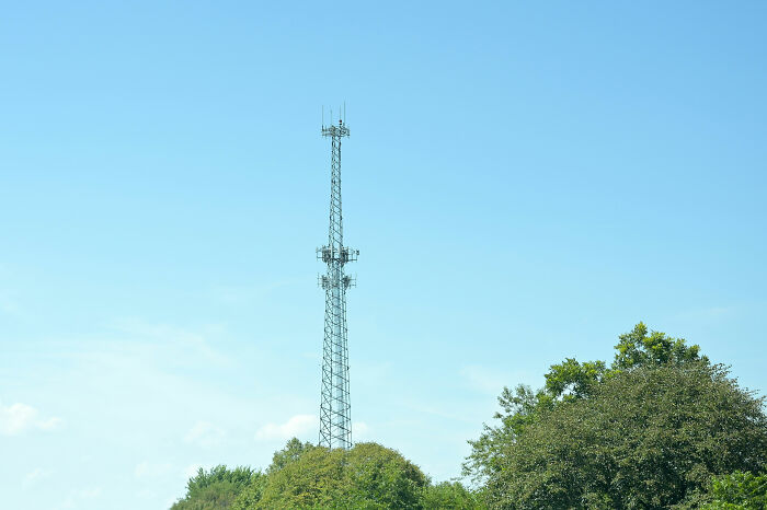 Tall communication tower standing above green trees under clear blue sky, illustrating moments of unexpected stupidity.