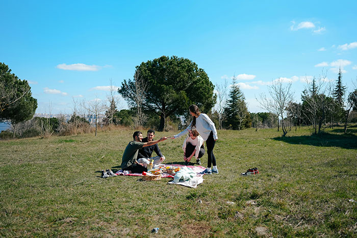 Four people having a picnic in a grassy field under clear skies, illustrating signs people missed while being cheated on.