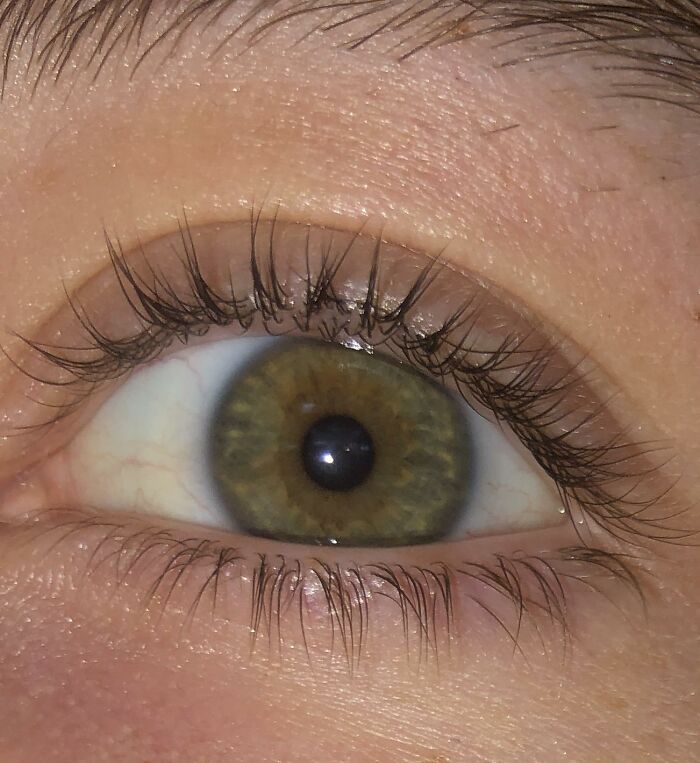 Close-up of a human eye with long eyelashes, showcasing unique genetic features of individuals who won the genetic lottery.