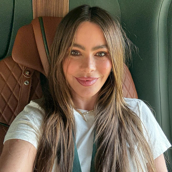 Sof&iacute;a Vergara smiling with long hair, wearing a white shirt and gold necklace inside a vehicle seat.