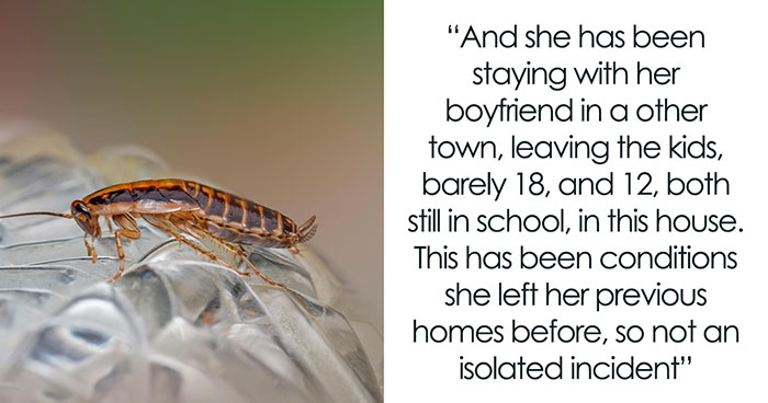 Woman Wonders If She’s Wrong For Getting CPS Involved After Seeing State Of Sister’s Home