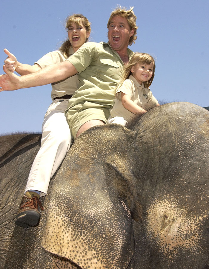 Bindi Irwin with family riding an elephant in a wildlife setting, sharing a health update from hospital news.