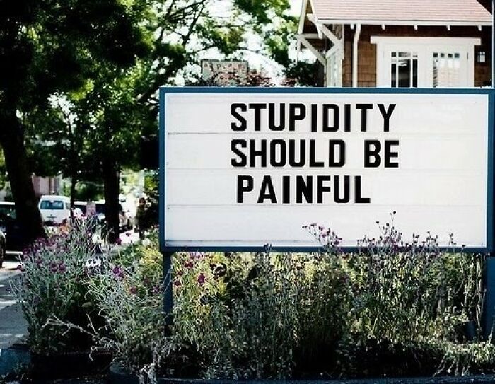 Outdoor sign with bold text saying stupidity should be painful, a random meme for when your brain needs a break.
