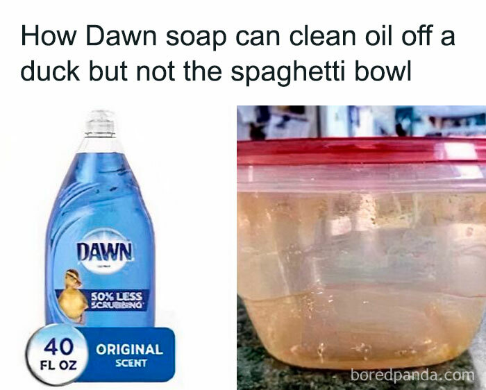 Bottle of Dawn soap with a duck image and a dirty spaghetti bowl showing a random meme for brain break.