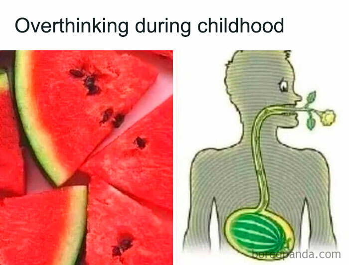 Watermelon slices next to a cartoon showing a watermelon in a person’s stomach with a stem growing to the mouth, meme about overthinking.