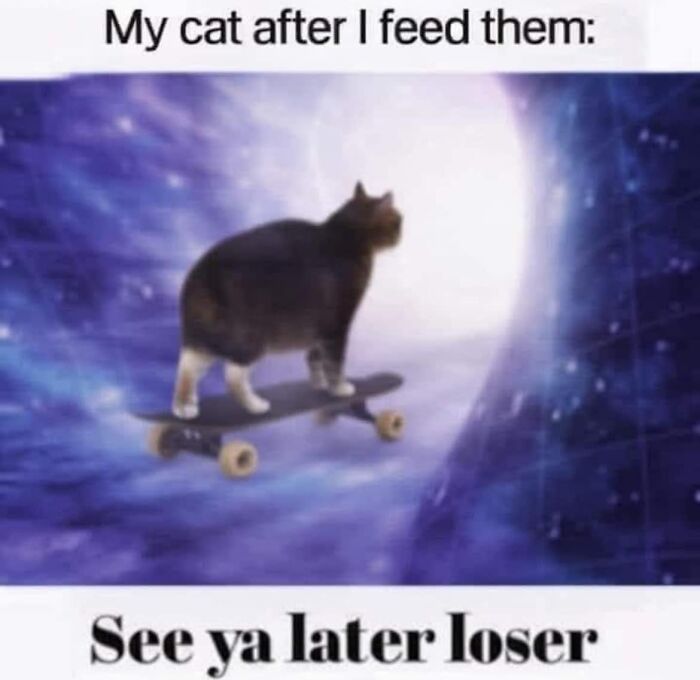 Cat on skateboard in a surreal space scene with text meme, perfect for random memes when your brain needs a break.