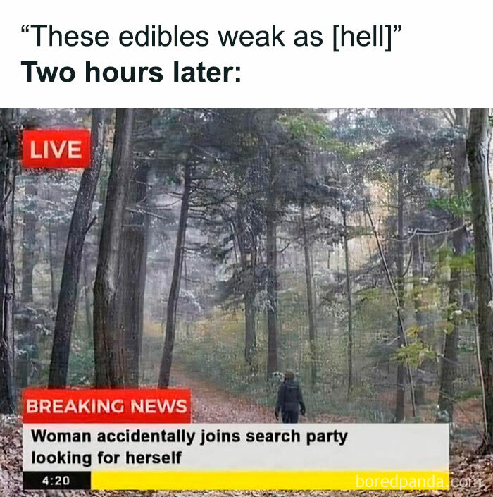 Woman in forest humor meme with fake breaking news about accidentally joining search party, perfect for random memes brain break.