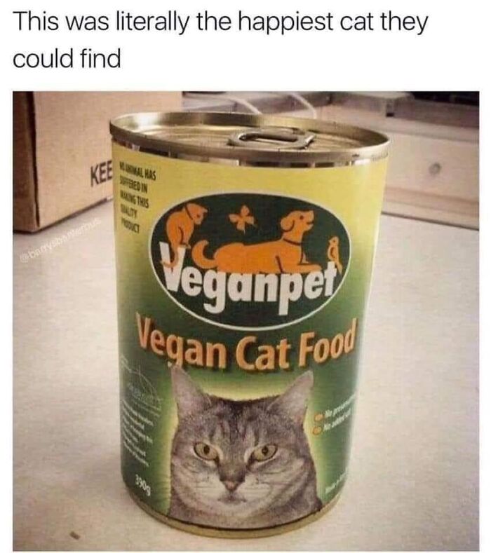 Can of vegan cat food with a serious cat face on the label, part of a random memes collection for brain breaks.