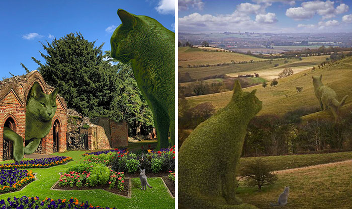 “The Topiary Cat”: Richard Saunders’ Stunning Tribute To His Late Pet (29 New Pics)
