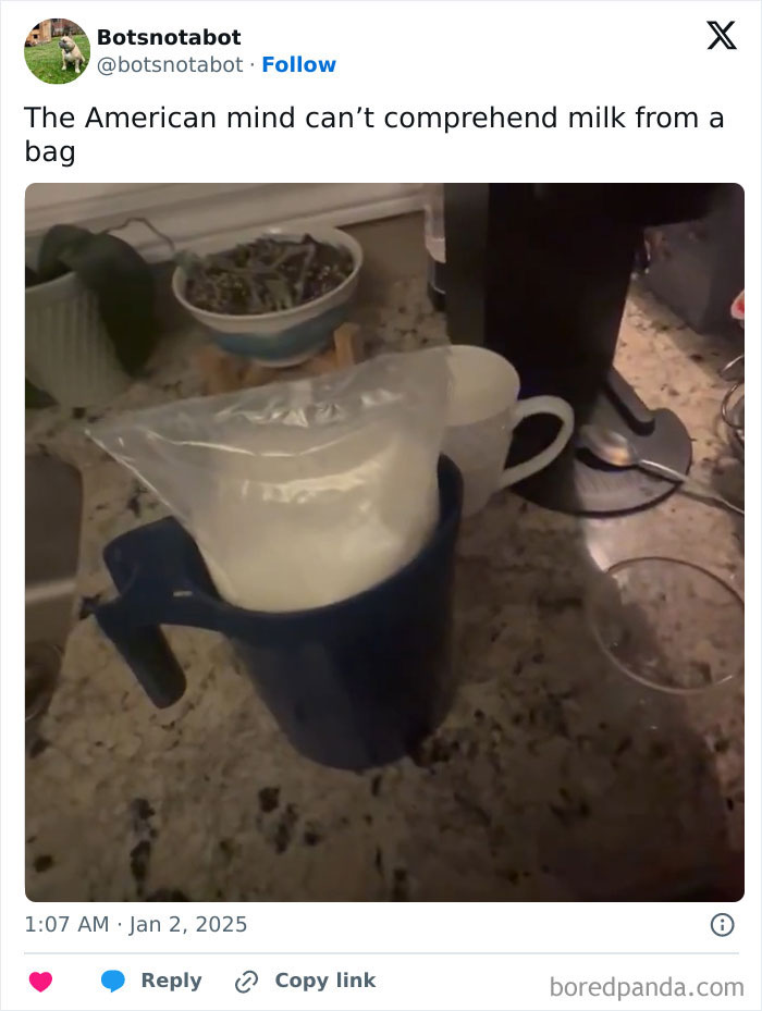 Milk in a bag placed inside a blue pitcher on a kitchen counter, illustrating confusing American mind reactions.