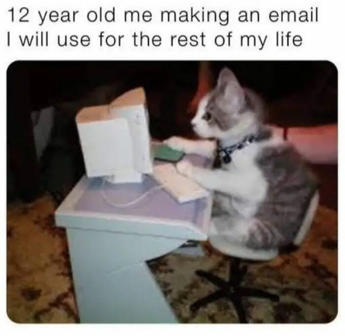 Cat sitting on a chair using a computer with text about making a lifelong email, capturing relatable human experience meme.