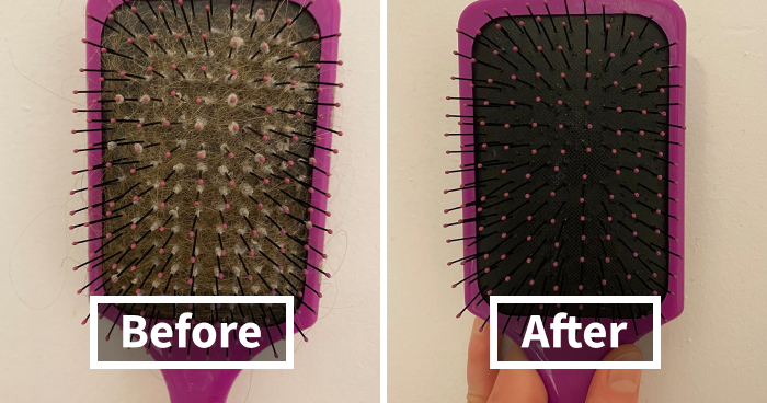 Stop Wasting Time! These 24 Efficient Finds Try Streamline Your Day