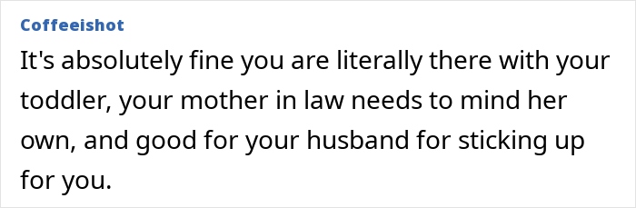 MIL Tries To Shame Pregnant DIL For “Neglecting” Toddler, Ends Up Getting Schooled By Her Own Son MIL Tries To Shame Pregnant DIL For “Neglecting” Toddler, Ends Up Getting Schooled By Her Own Son