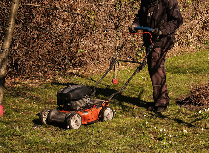 Healthcare worker mowing grass outdoors, illustrating wild analogies used to explain medical problems.