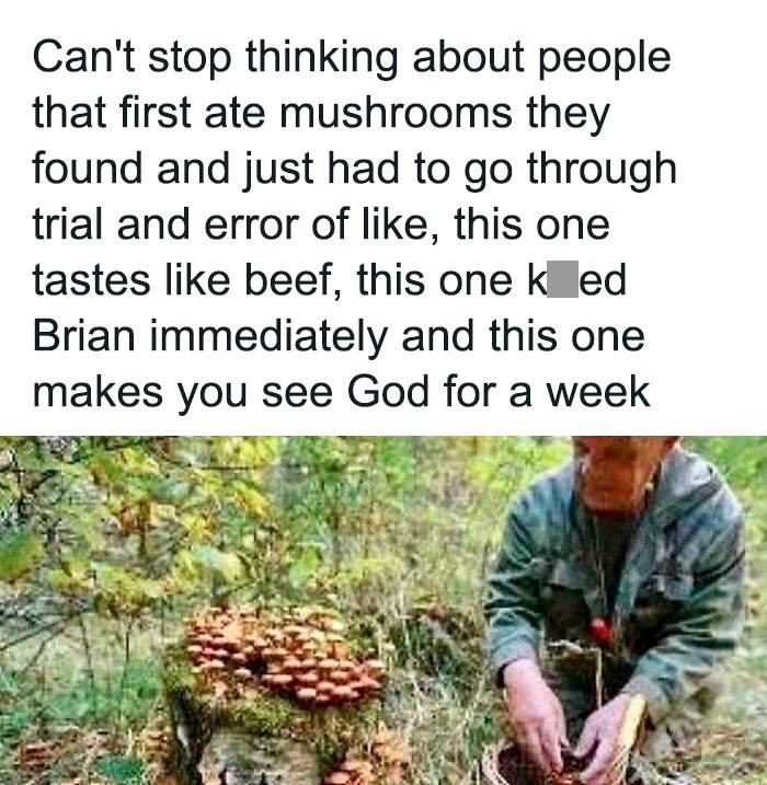 Person foraging mushrooms in forest, highlighting hilarious moments when people became main characters in funny ways.