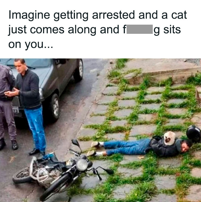 Man lying on the ground after a motorcycle fall with a cat sitting on him, showing hilarious main character moment fails.
