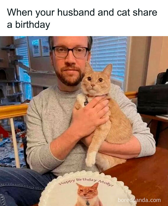 Man holding cat by birthday cake with cat image, capturing hilarious main characters moment in everyday life.