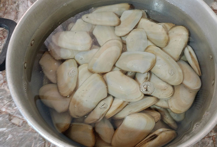 A pot filled with shellfish soaking in water, illustrating common cooking advice and seafood preparation tips.