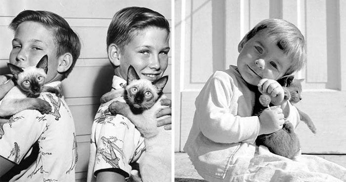 47 Adorable Vintage Photos Showcasing The Timeless Bond Between Kids And Cats, As Collected By This Page