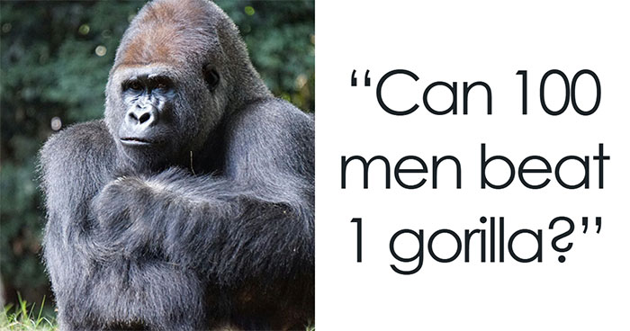 Things That Went Viral Online In April (If You’re Chronically Online, You Probably Saw Them)