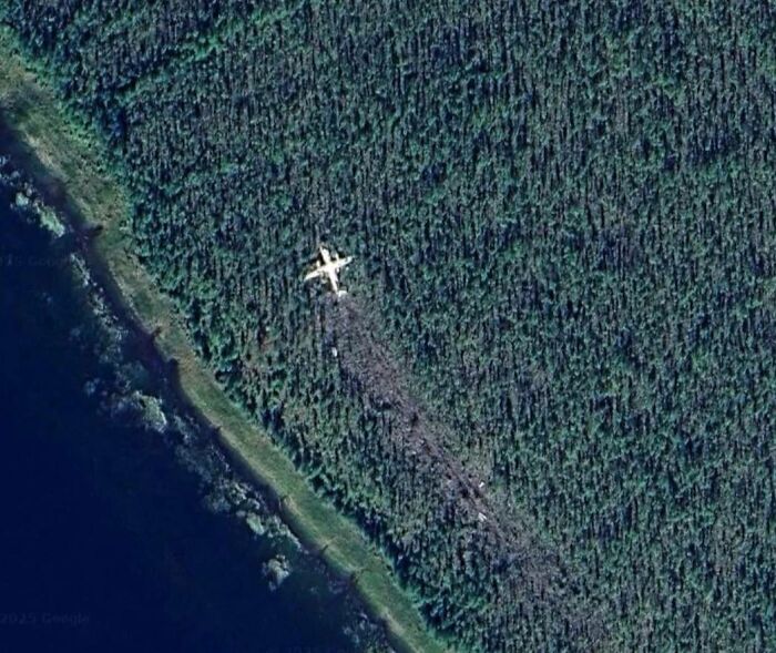 Aerial view of a crashed airplane in dense forest captured on Google Earth, showing an odd and unexpected scene.