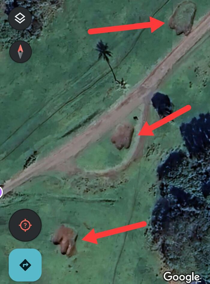 Odd objects resembling animals highlighted with red arrows on a green landscape seen on Google Earth satellite view.