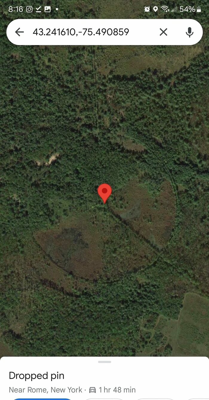 Satellite view of odd circular patterns in forested area near Rome, New York found on Google Earth exploration.