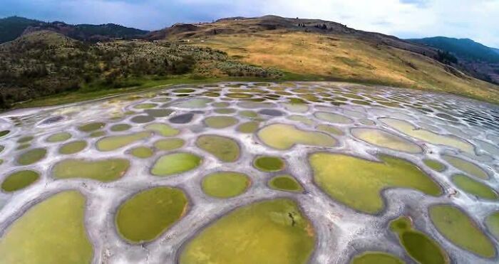 Aerial view of odd circular ponds in a dry landscape, one of the unusual things found on Google Earth.