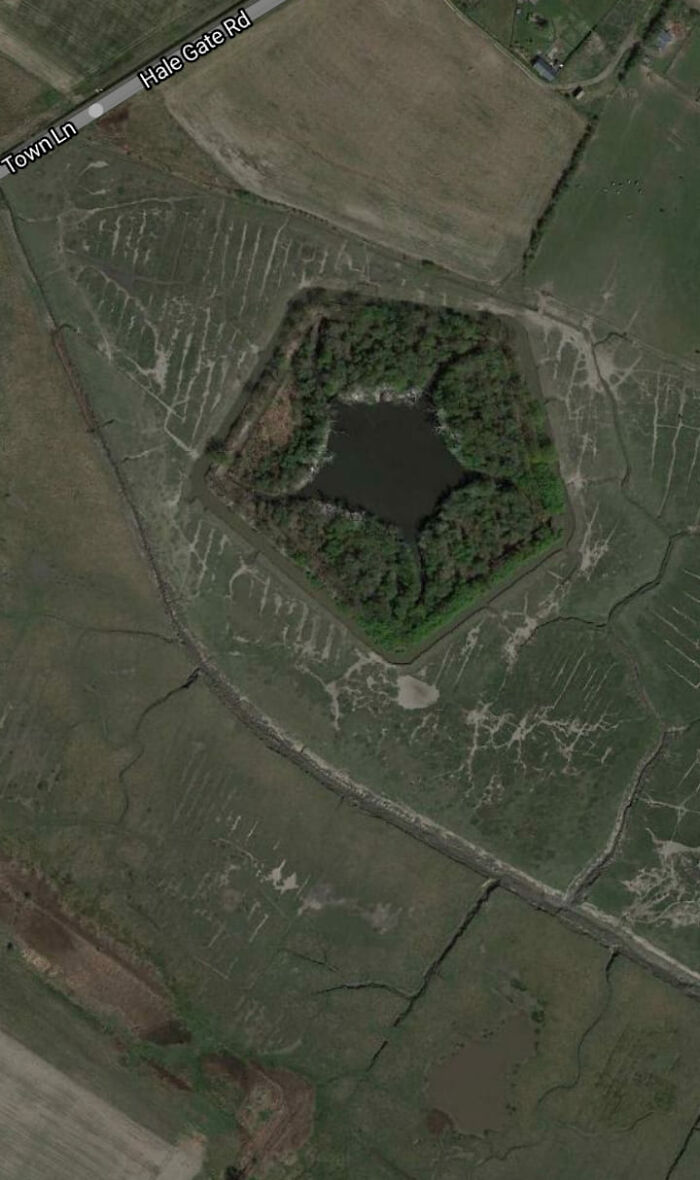 Aerial view of a unique hexagonal water feature surrounded by vegetation and farmland captured on Google Earth.