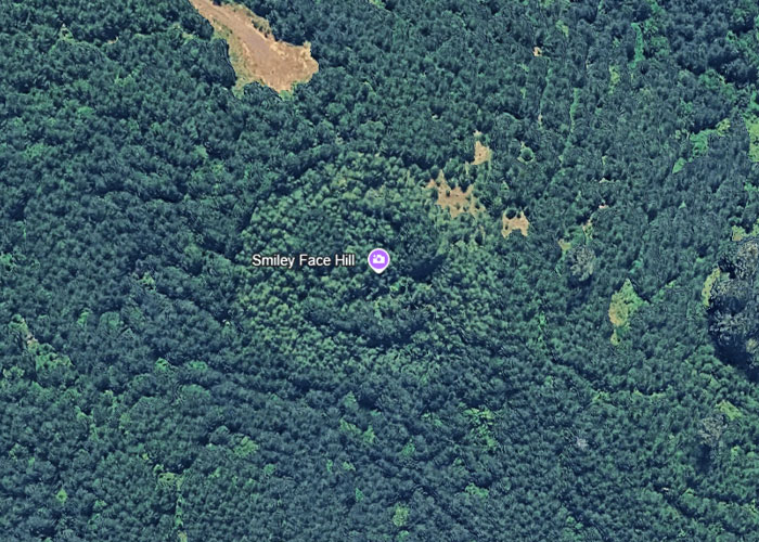Aerial view of Smiley Face Hill surrounded by dense green forest, a weird thing on Google Earth to question reality.