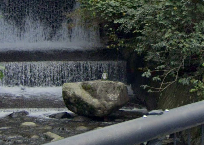 Large rock balanced near a cascading waterfall and surrounded by trees, a weird thing on Google Earth questioning reality.