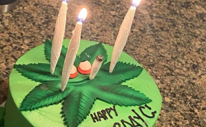 50 Amazon Finds That Hover Delightfully Between ‘Genius’ and ‘Why Does This Exist?’