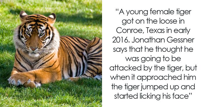 19 Hilarious Times Animals Created Total Chaos In Public