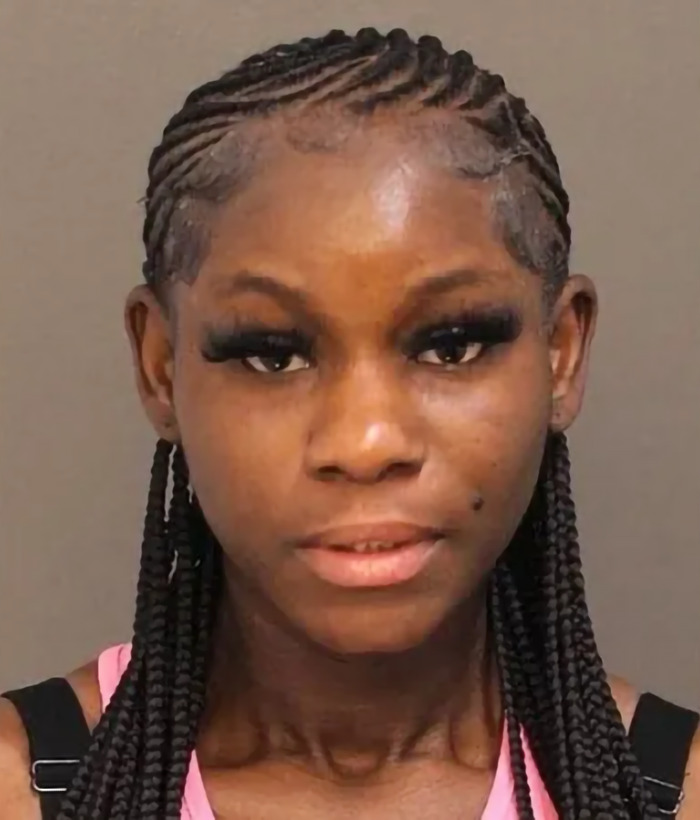 Mugshot of woman accused of torturing animals on camera for social media likes, facing prison time for animal cruelty.