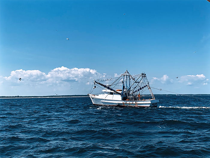 Fishing boat on open sea under blue sky, illustrating people who worked at sea sharing creepy experiences.