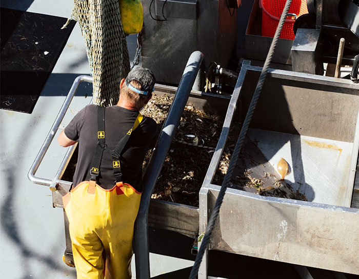 Fisherman working on a boat sorting sea debris, illustrating experiences of people who worked at sea witnessing creepy moments.