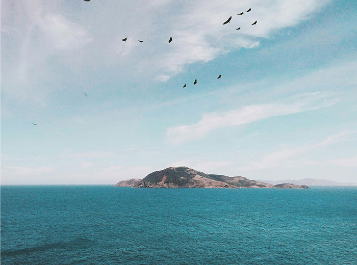Island surrounded by sea under a cloudy sky with birds flying, illustrating people who worked at sea experiences.