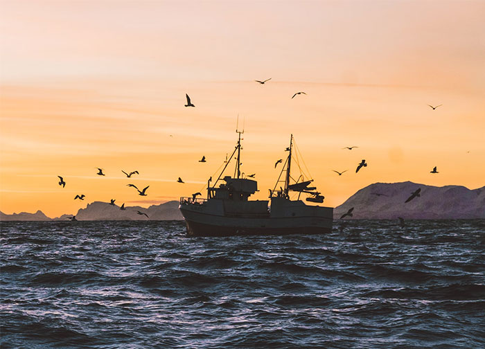 Fishing boat at sea during sunset with birds flying overhead, illustrating creepy experiences witnessed at sea workers.