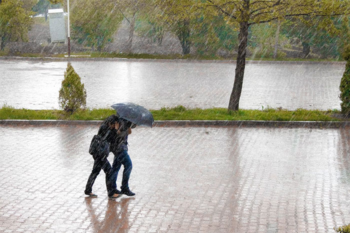Two people walking close together under one umbrella in heavy rain, capturing chaotic moments witnessed at a wedding.