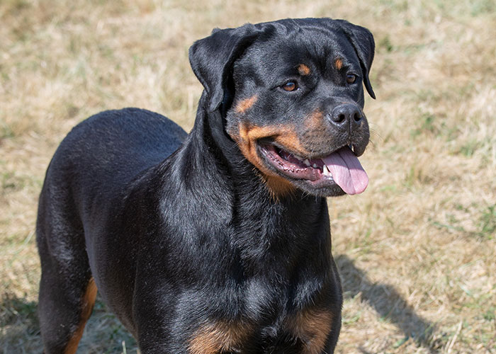 50 Wedding Moments So Awkward They Made Guests Question Reality