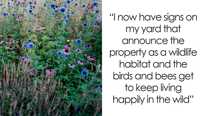 Neighbor Files 30 Complaints Over “Wild” Yard, Homeowner Takes The Legal Route Out Of Spite