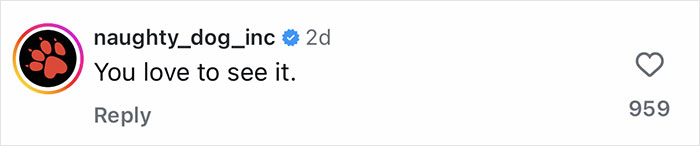 Screenshot of social media comment by naughty_dog_inc saying You love to see it with 959 likes, featuring former band member looks unrecognizable.