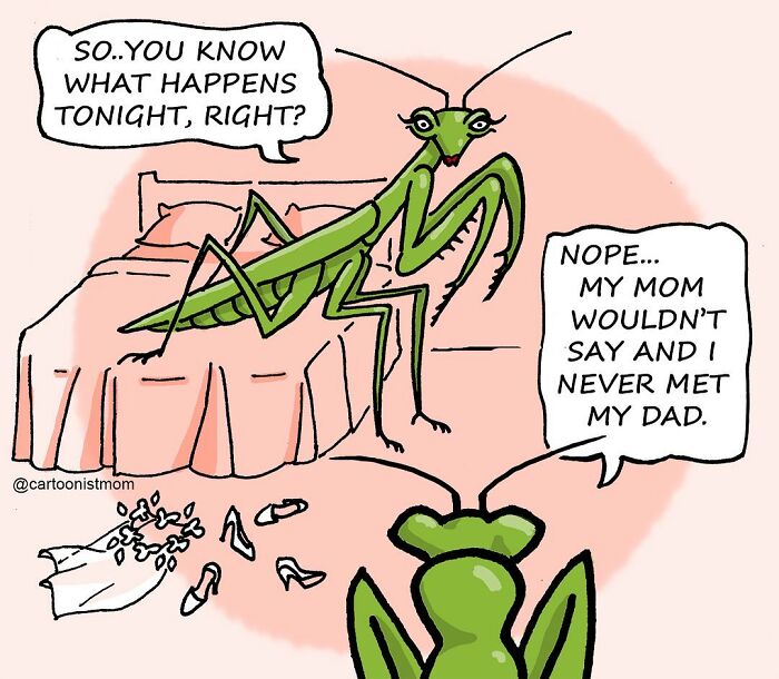 Cartoon of two praying mantises capturing life's awkward and hilarious moments with humorous dialogue by artist.